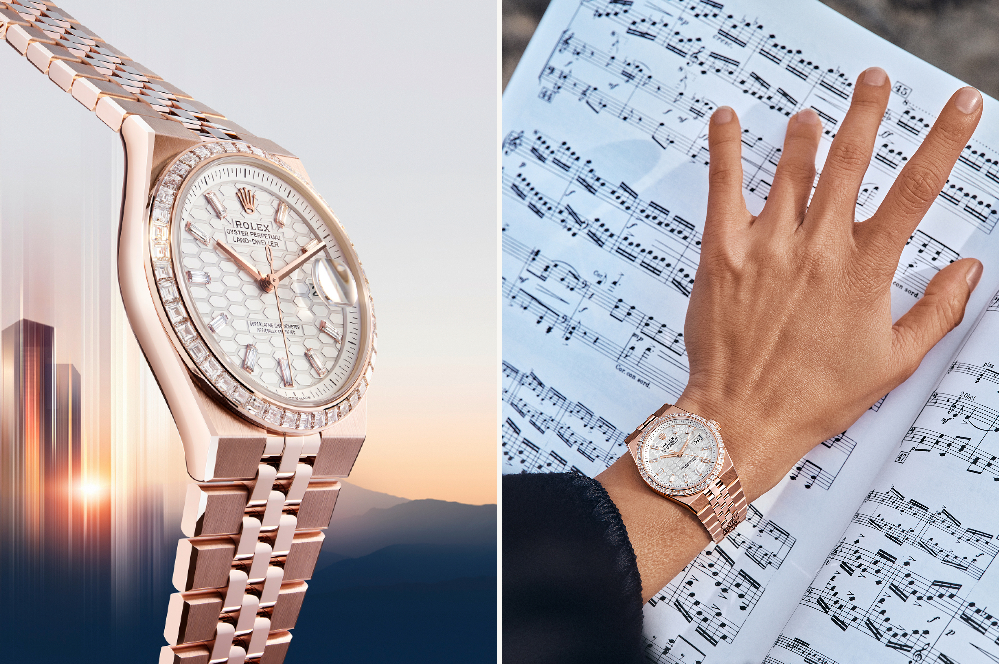 land-dweller-two-section-image